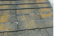 カラーベスト(コロニアル)屋根の苔・カビ