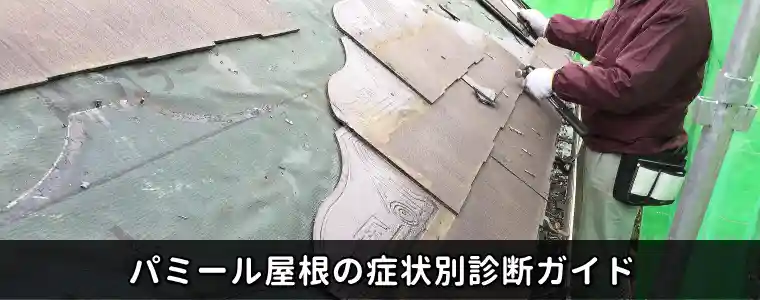 パミール屋根の症状別診断ガイド