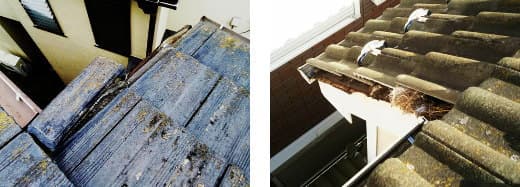 瓦屋根の症状-袖瓦の落下、雨漏り