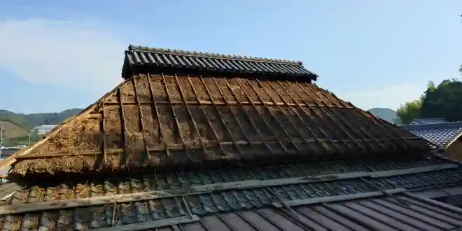 茅葺きに被せたトタン屋根を剥がした状態