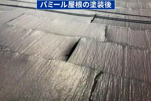 パミール屋根を塗装した後の状態