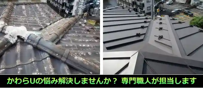 かわらUの悩み解決しませんか?専門職人が担当します