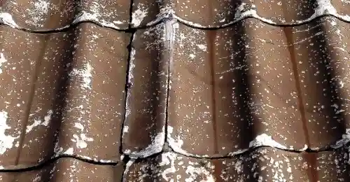 かわらUが割れると雨水が入り込む