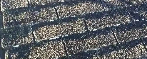 アスファルトシングル屋根の劣化症状
