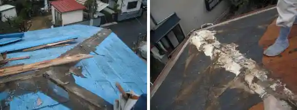 塗装したカラーベストを剥がしたら腐ってた