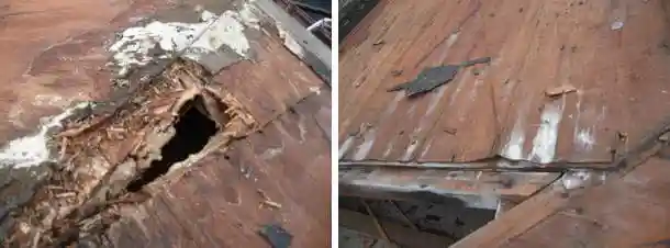 屋根塗装したら下地が腐った