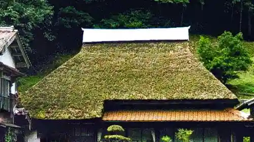 茅葺屋根に生えた苔