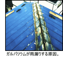 ガルバリウム鋼板屋根、雨漏りして再葺き替え